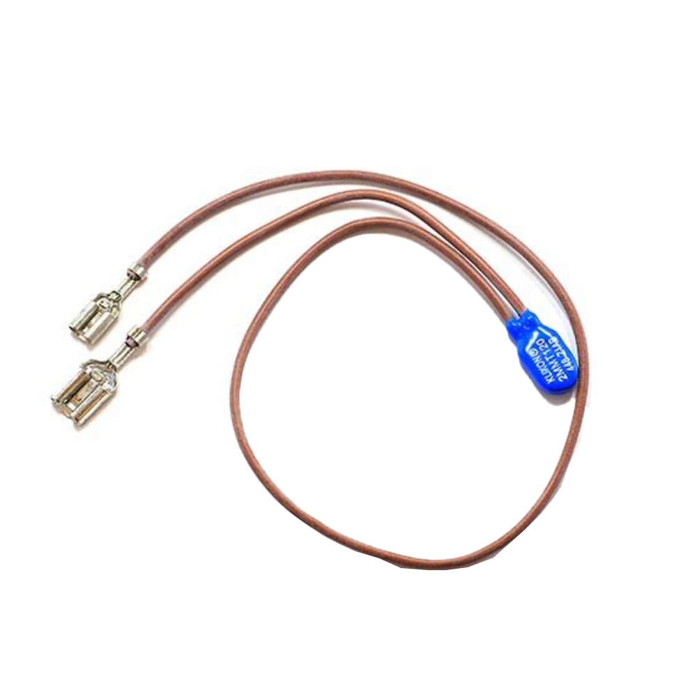 DeLonghi Übertemperatursicherung EAM / ESAM