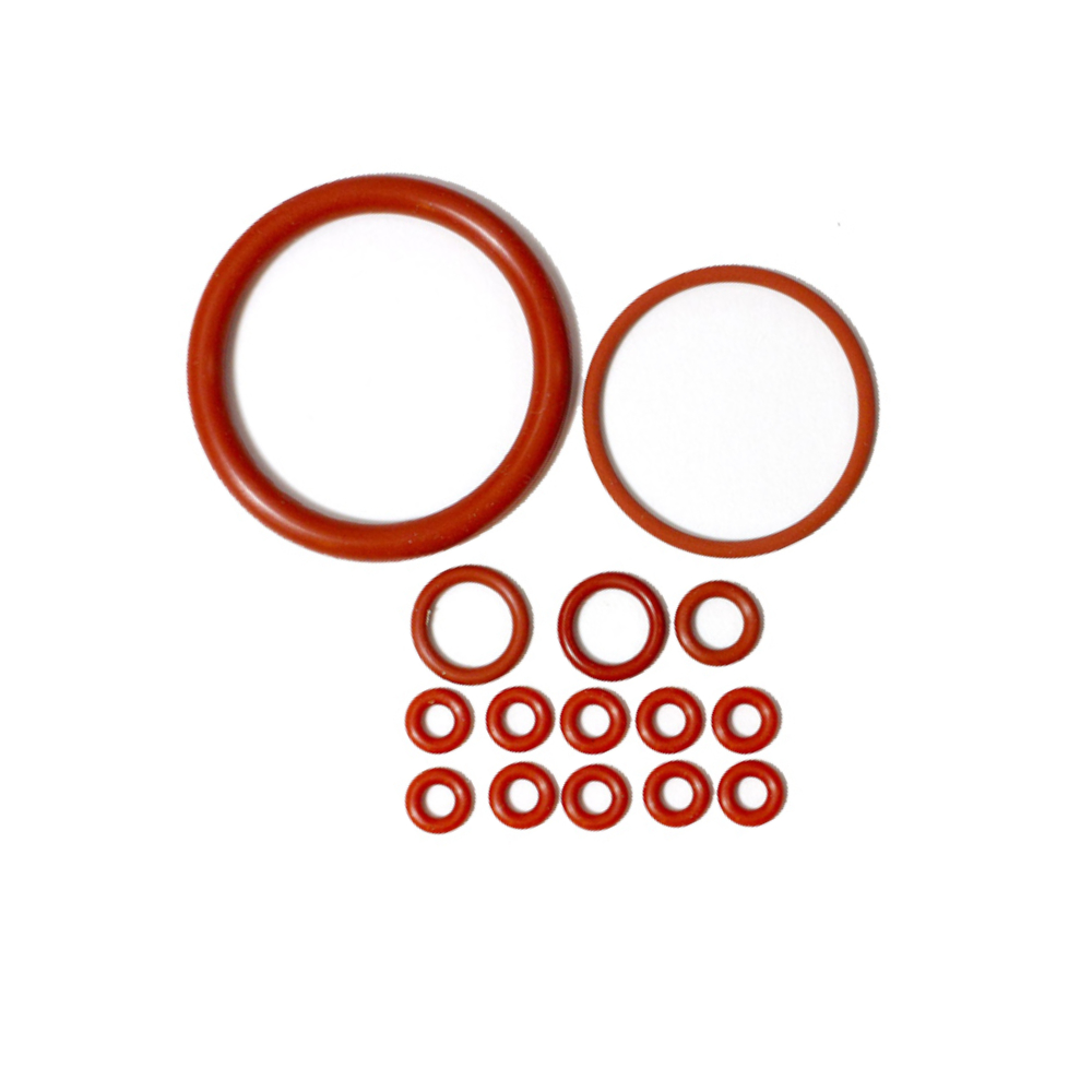 Saeco Dichtungssatz XXL Incanto / Royal / Primea u.a.