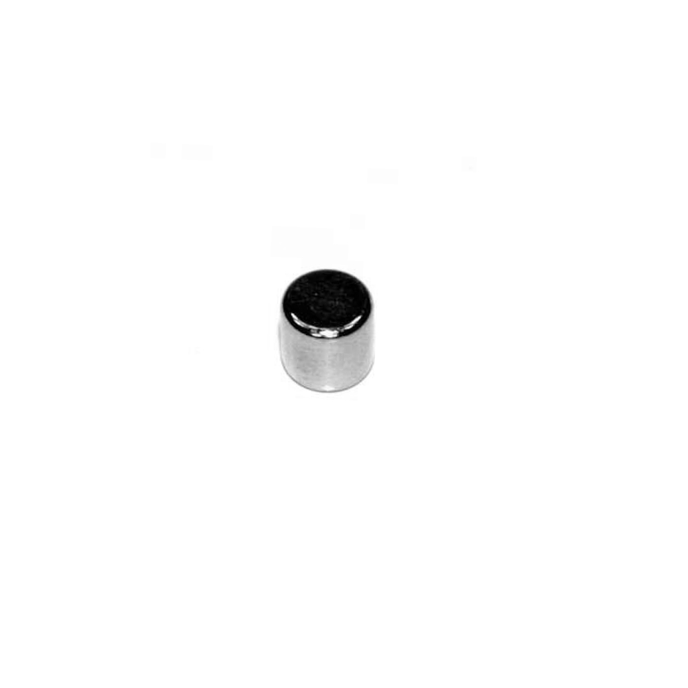 Rotel Magnet D06x6mm