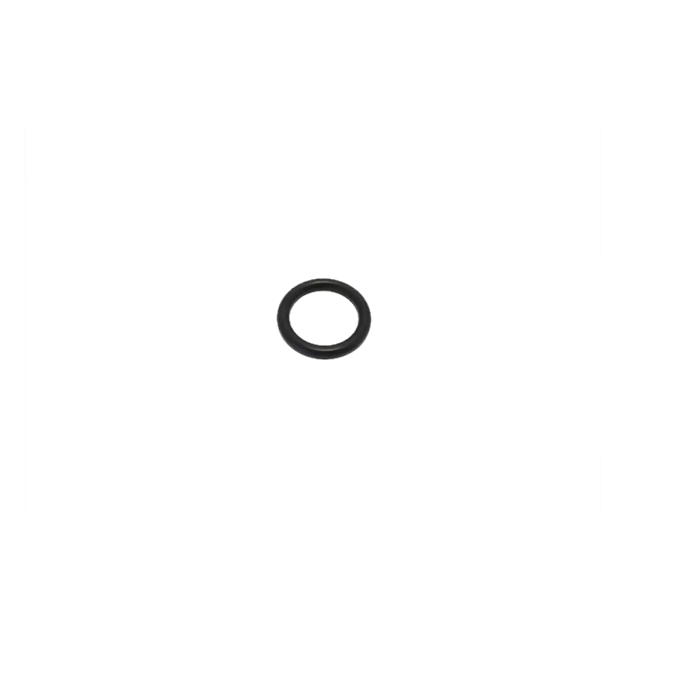 Delonghi ESAM O-Ring Dichtung