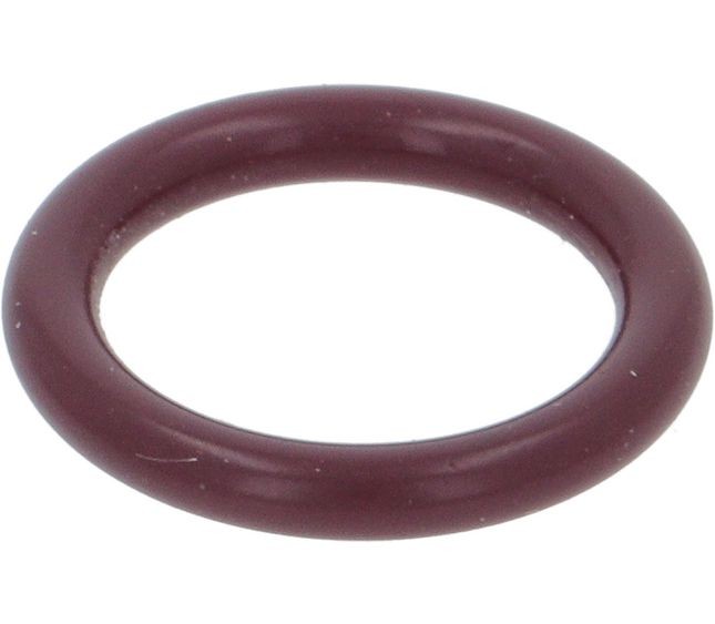 Dichtung / O-Ring für die DeLonghi EPAM Milchschaumdüse
