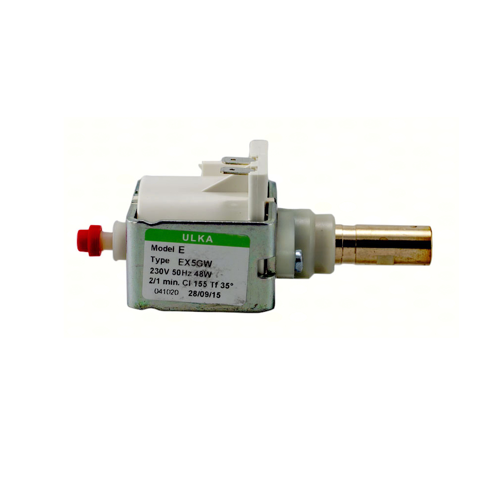 Saeco Pumpe Vibration EX5GW 48W 230V 50Hz Magic / Royal u.a.