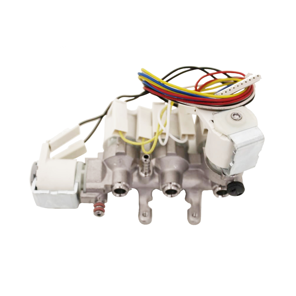 Saeco Ventilblock Exprelia
