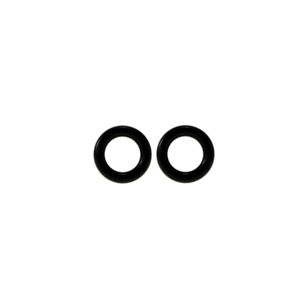 AEG O-Ring Dampfrohr 2er-Set CaFamosa