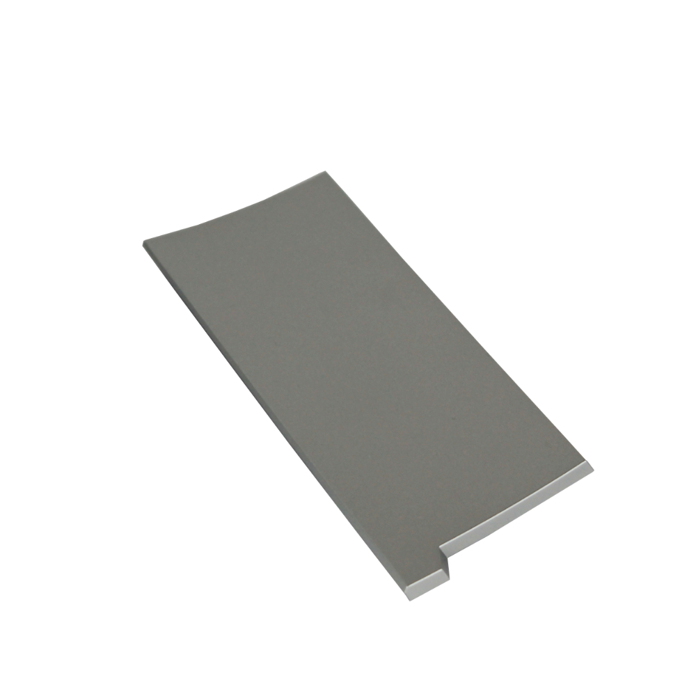 DeLonghi Blende (Silber) für Wassertank von DeLonghi ESAM 5400.S EX:1 Perfecta